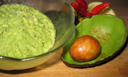 Avocadocreme – ein Tausendsassa