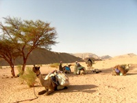 Heilung auf dem Sinai