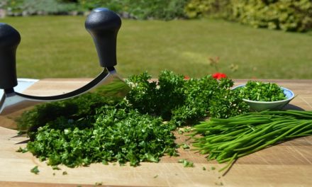 Kleines veganes ‘Sommermenü’