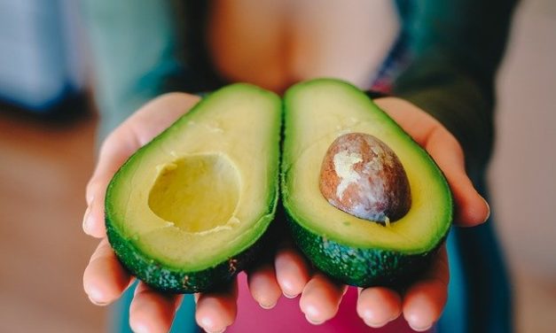Avocado – Veganer „Eier“likör – Veierlikör