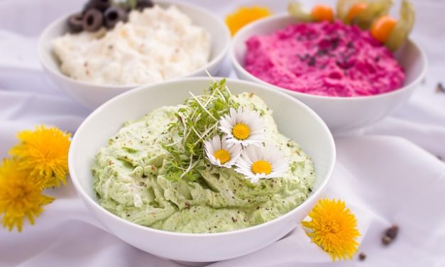 Pestos, Dips und Aufstriche – roh und vegan