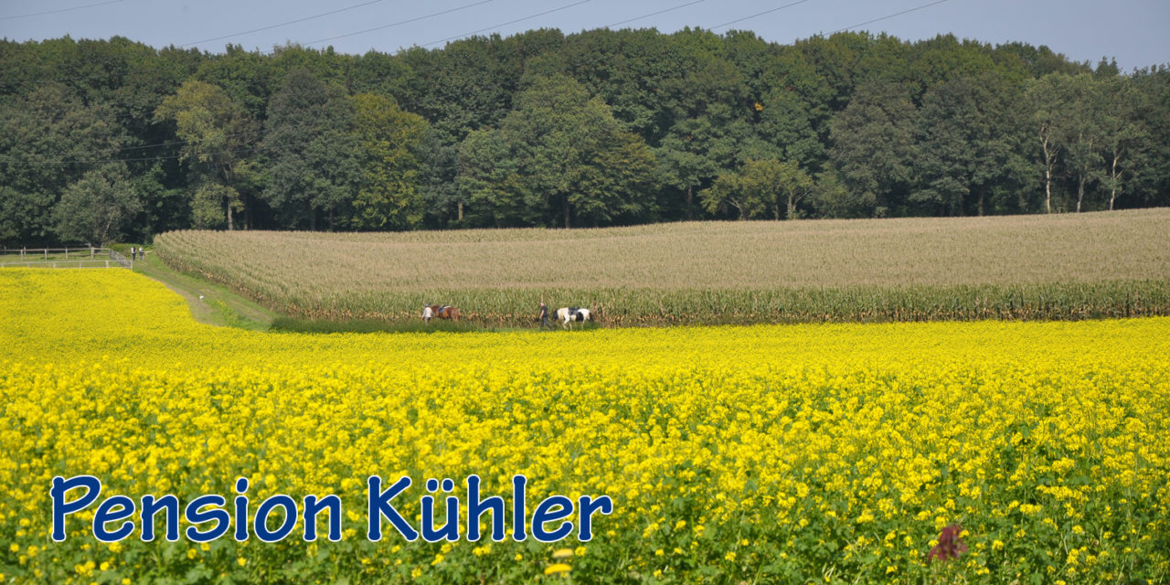 Ganzheitlich leben … in der Pension Kühler!