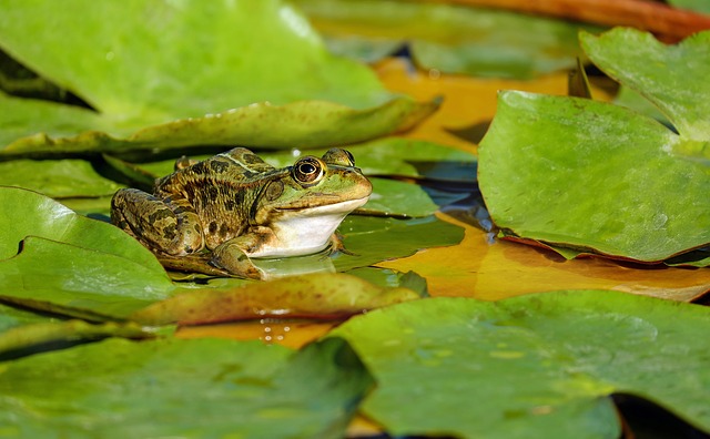 Bist Du in Kontakt mit der Natur?