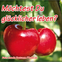 glücklich coachen Banner