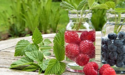 Viel trinken – aber was?