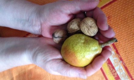 Mit Reiki die Nahrung energetisch aufwerten