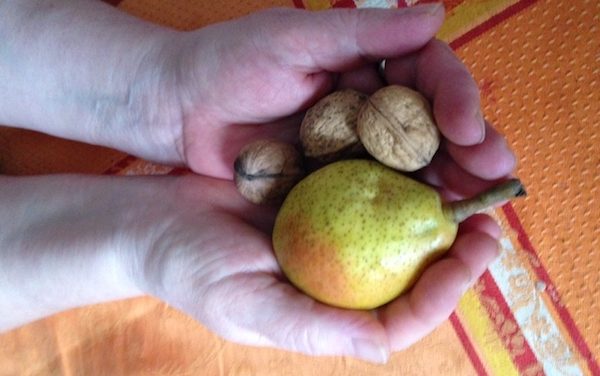 Mit Reiki die Nahrung energetisch aufwerten