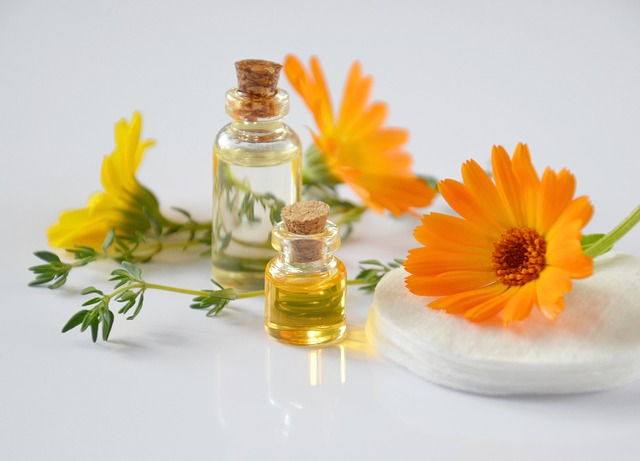 Reiki und Pflanzen – ein Weg zum grünen Daumen!
