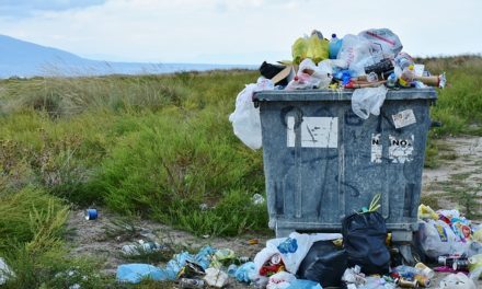 Zero Waste – kein Müll – geht das?