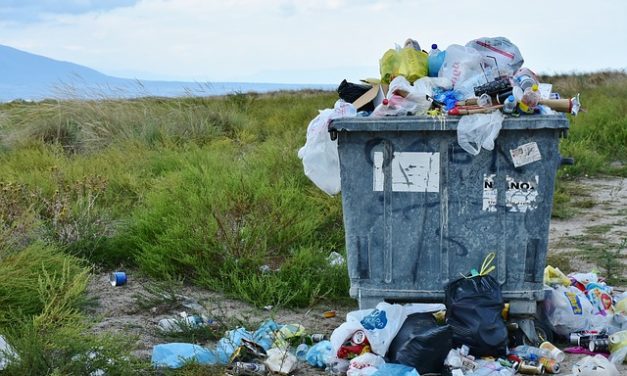 Zero Waste – kein Müll – geht das?