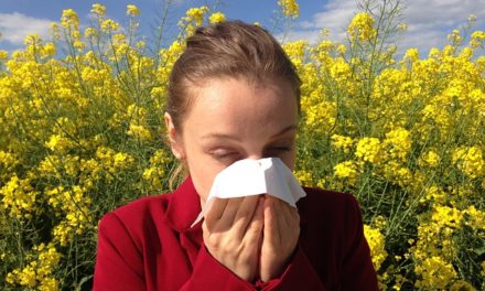 Wenn die Pollen fliegen