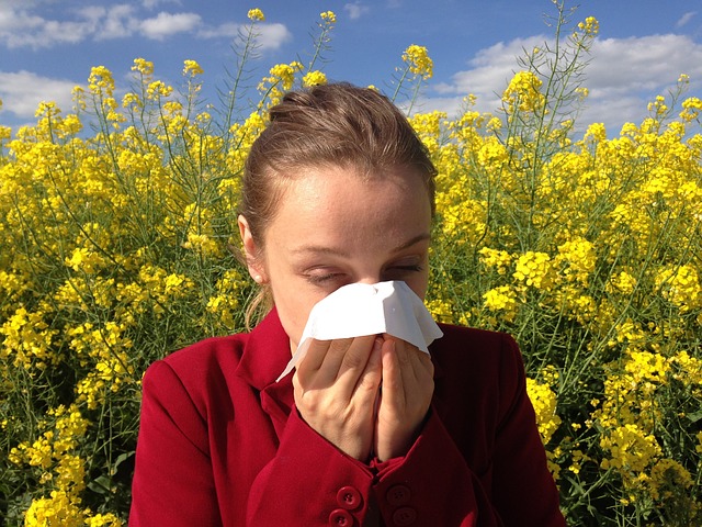 Wenn die Pollen fliegen