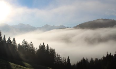 Sensibilität: Der Segen der Durchlässigkeit