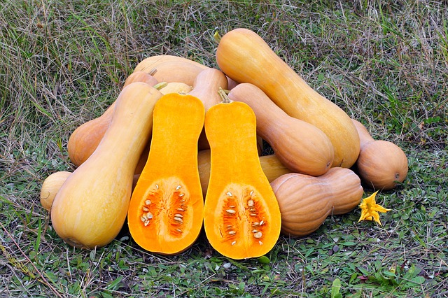 Butternut-Spinat-Cannelloni