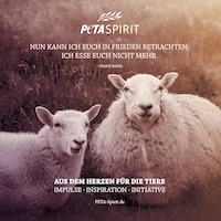 Peta Banner