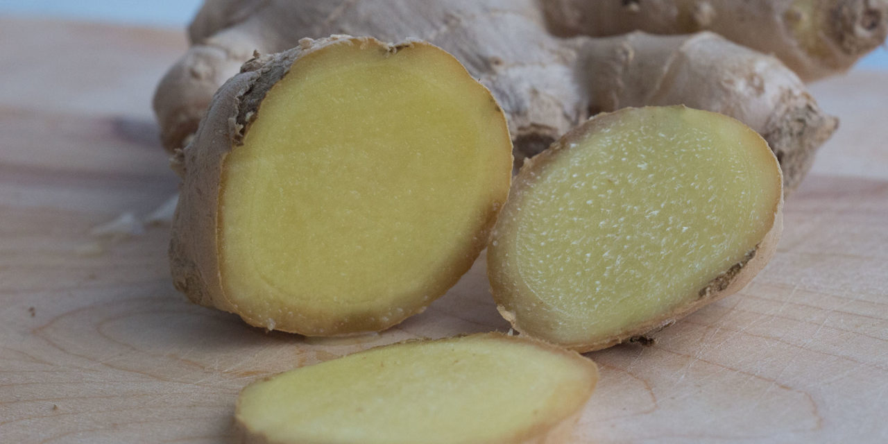 Der Ingwer (Zingiber officinale)