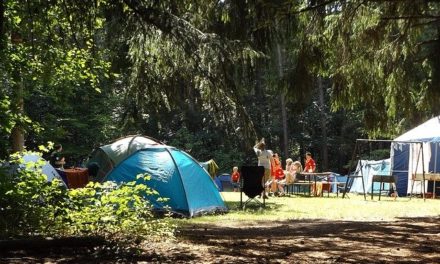Wünschen und bekommen: Ein Sommercamp!