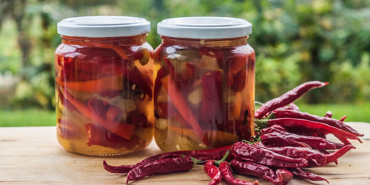 Chili mit Apfel – süß-sauer eingelegt