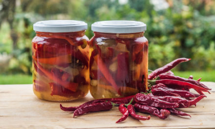 Chili mit Apfel – süß-sauer eingelegt