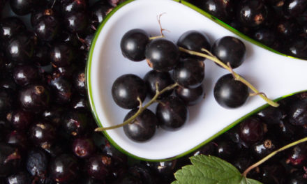 Johannisbeere (Ribes)
