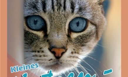 Kleines Katzen Survival Kit