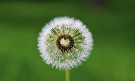 Angst zu manifestieren ist unbewusst ganz schön verbreitet