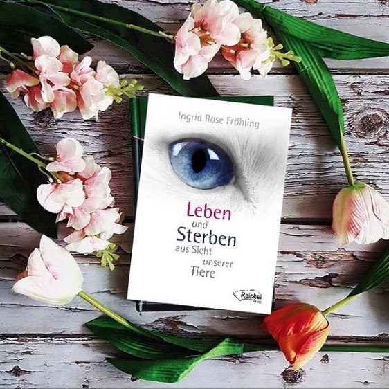 Leben und Sterben aus Sicht unserer Tiere