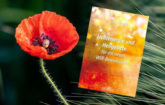 Lichtenergie und Heilgebete für ein neues WIR-Bewusstsein