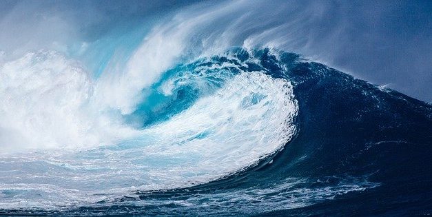 Wasser als Lebensmittel