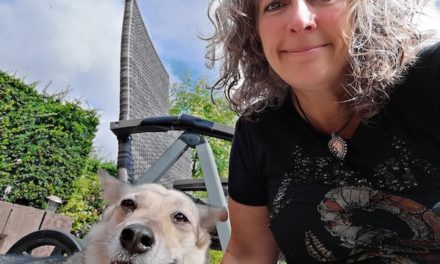 H wie Hund