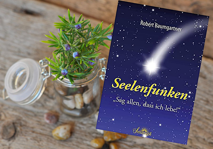 Seelenfunken – „Sag allen, dass ich lebe“