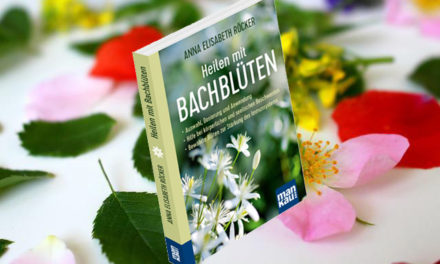 Heilen mit Bachblüten