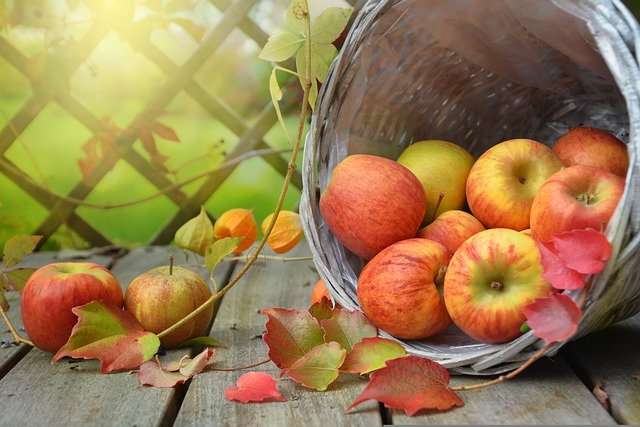 Herbsttagundnachtgleiche – Mabon