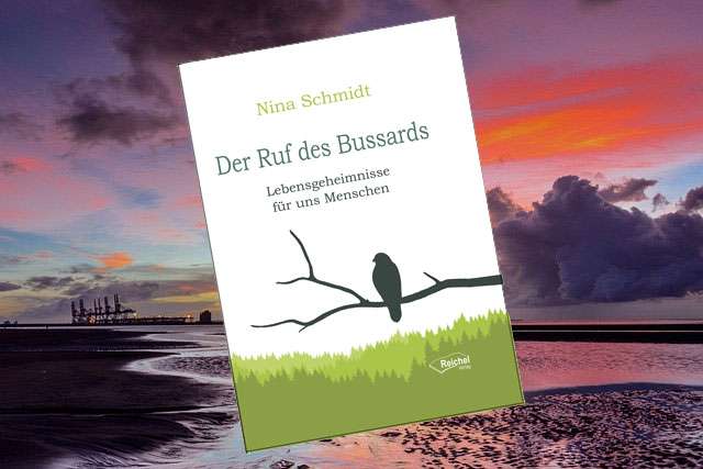 Der Ruf des Bussards - taomagazin.de Der Ruf des Bussards - taomagazin.de