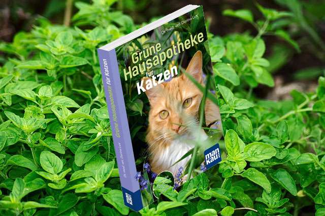 Grüne Hausapotheke für Katzen.