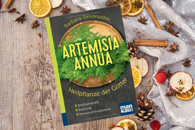 Artemisia annua – Heilpflanze der Götter