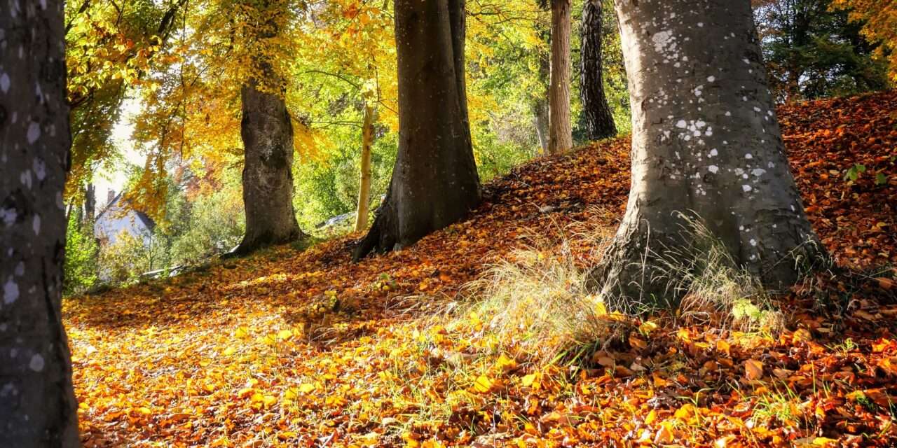 Himmlische Konstellationen im Oktober