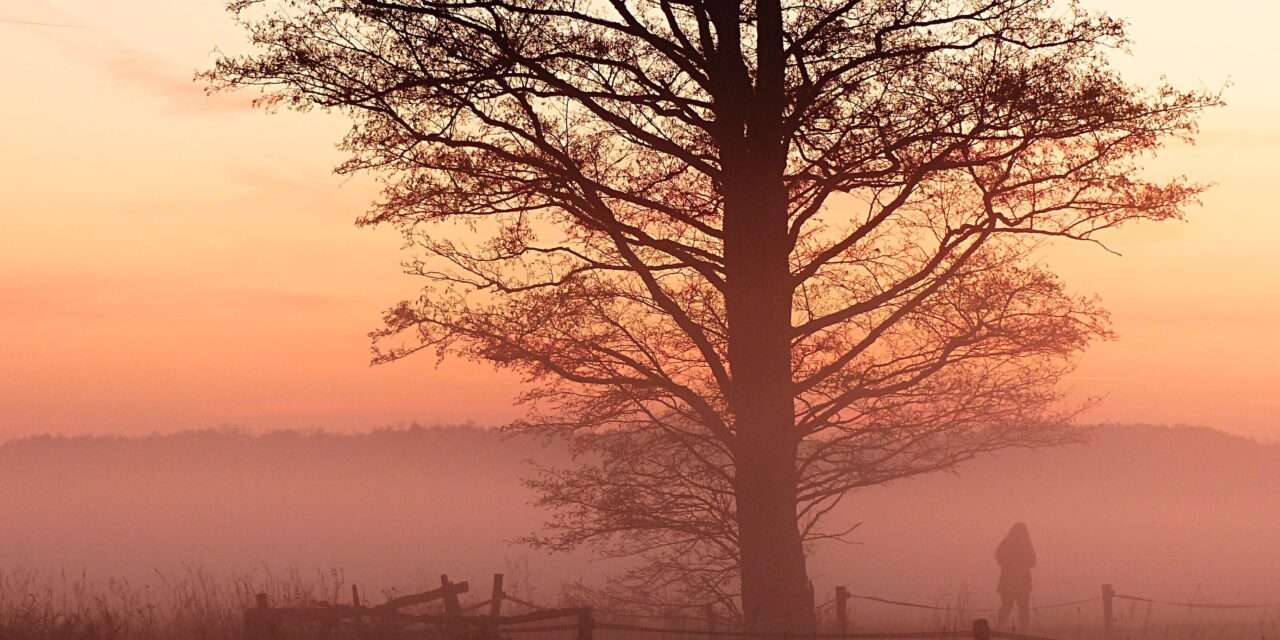 Himmlische Konstellationen im November