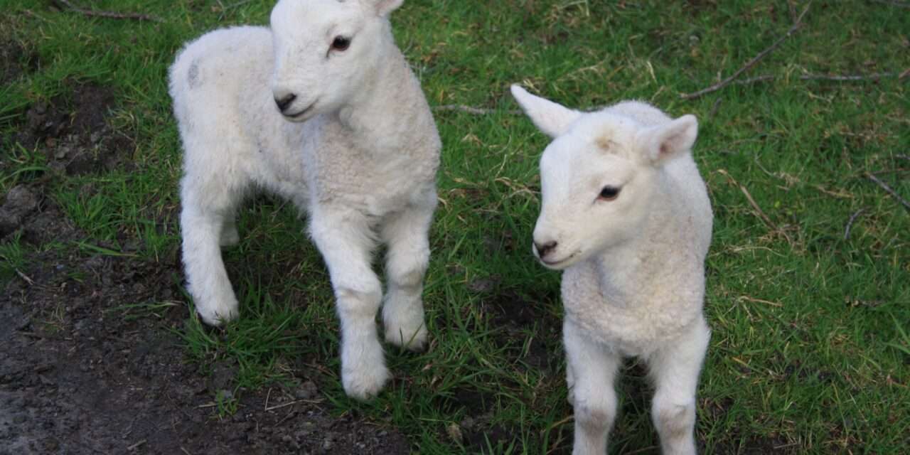 Himmlische Konstellationen im April im Widder